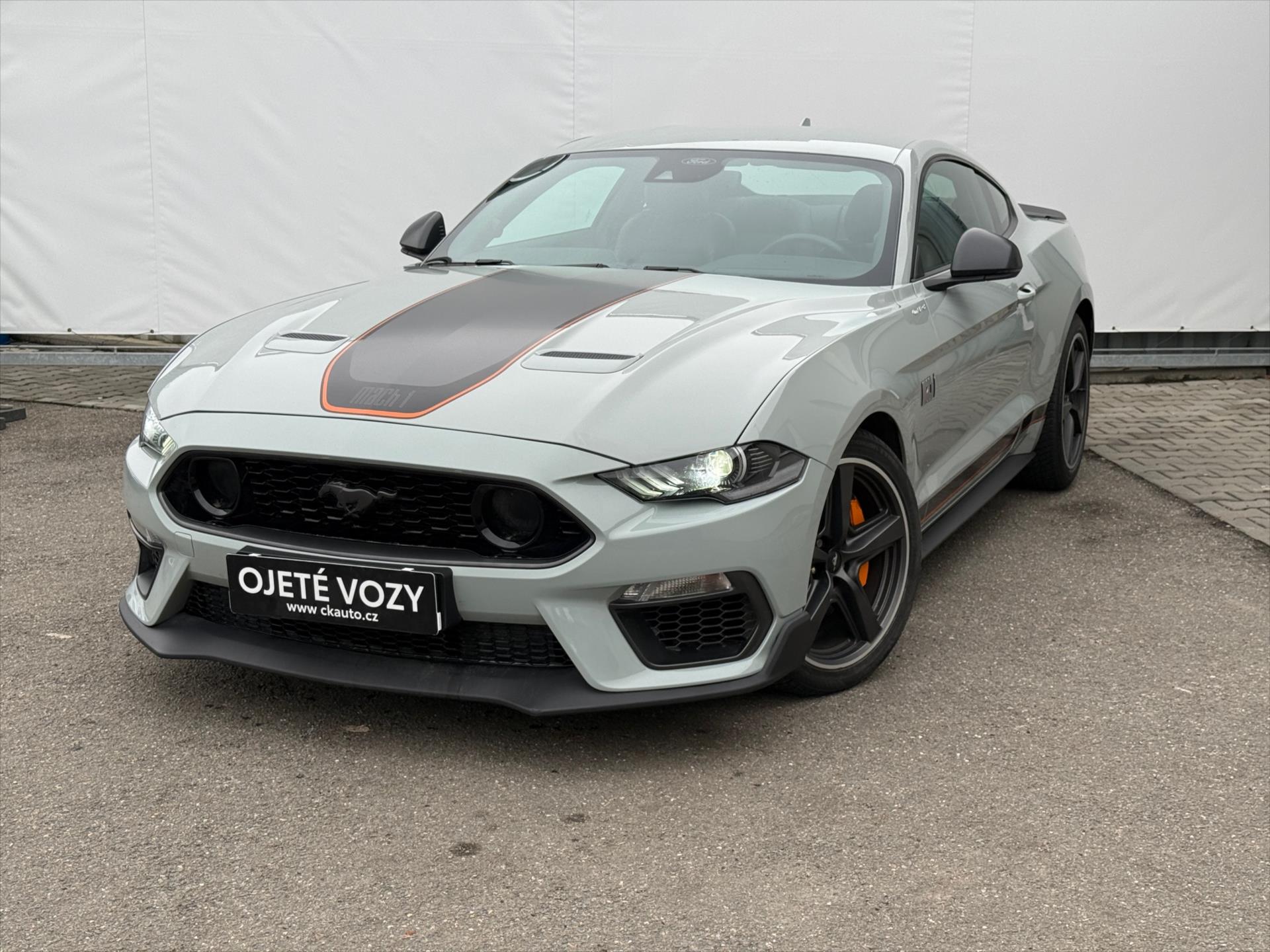 Ford Mustang 5,0 Mach 1