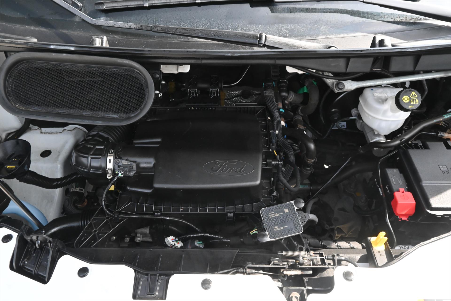 ford-transit-2-0-ecoblue-96kw-l2h2-zaruka-az-5-let - 8