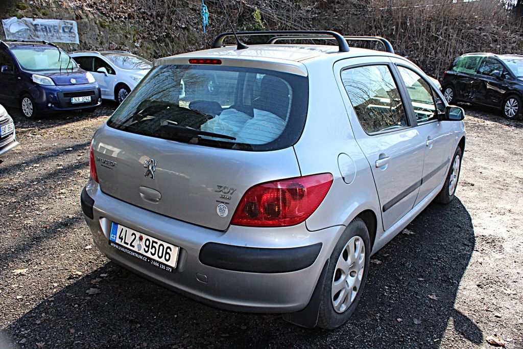 peugeot-307-2-0-hdi-66-kw - 5