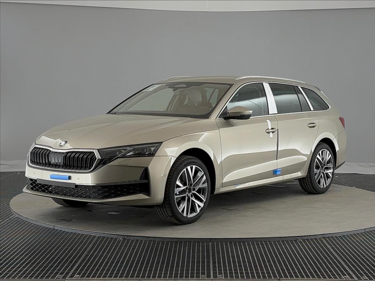 Škoda Octavia 2,0 TDI Ex.Selection combi DSG