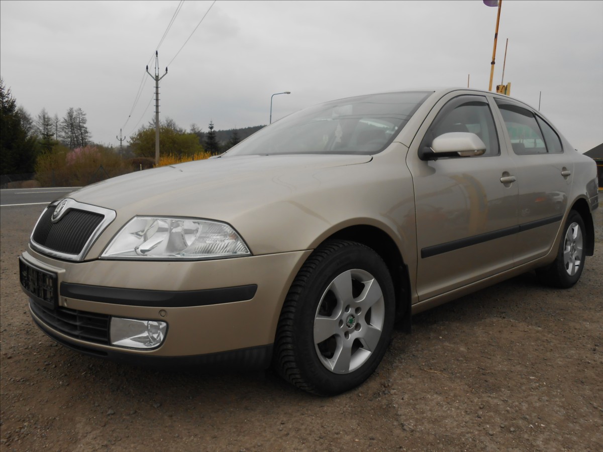 skoda-octavia-2-0-tdi-103-kw-serviska - 5
