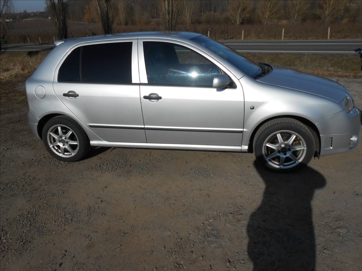 skoda-fabia-1-9-tdi-pd-96-kw-rs - 4