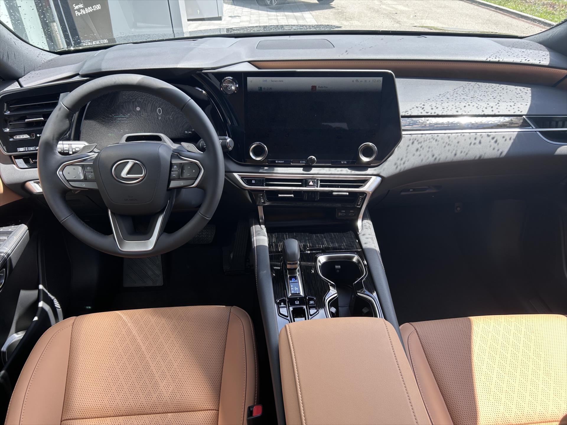 lexus-rx-450h-2-5-executive-plus - 8