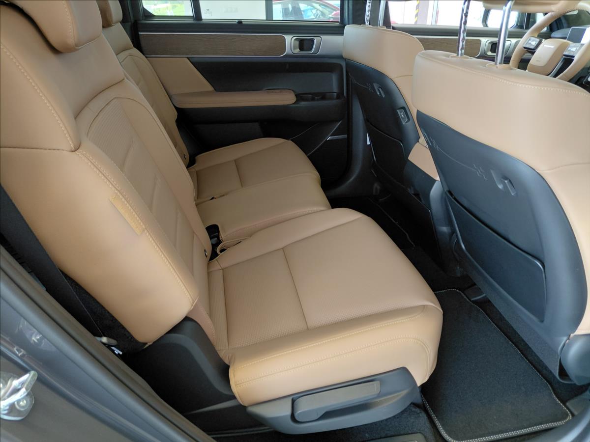 hyundai-santa-fe-1-6-t-gdi-phev-4wd-stl-prem - 6