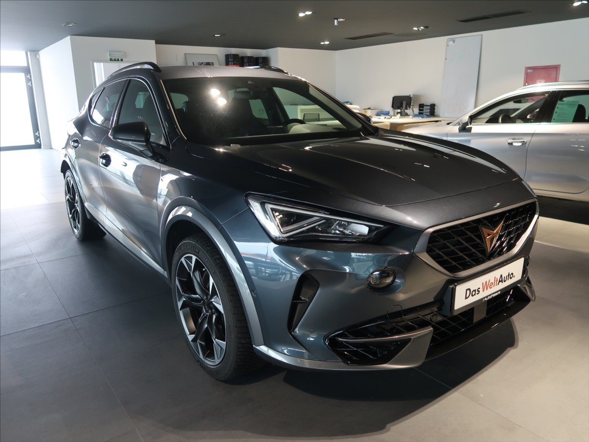 cupra-formentor-2-0-tsi-228-kw-vz-dsg-4x4-cr - 6