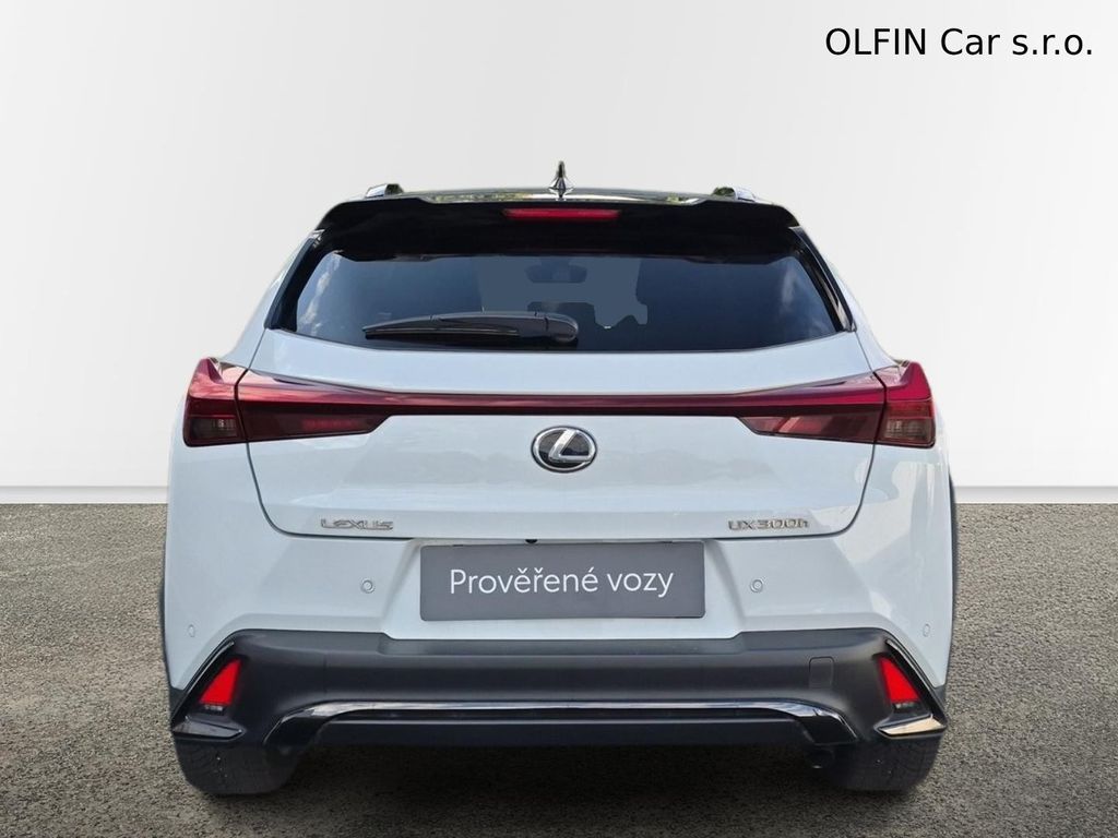 lexus-h-f-sport-design-bi-tone - 7