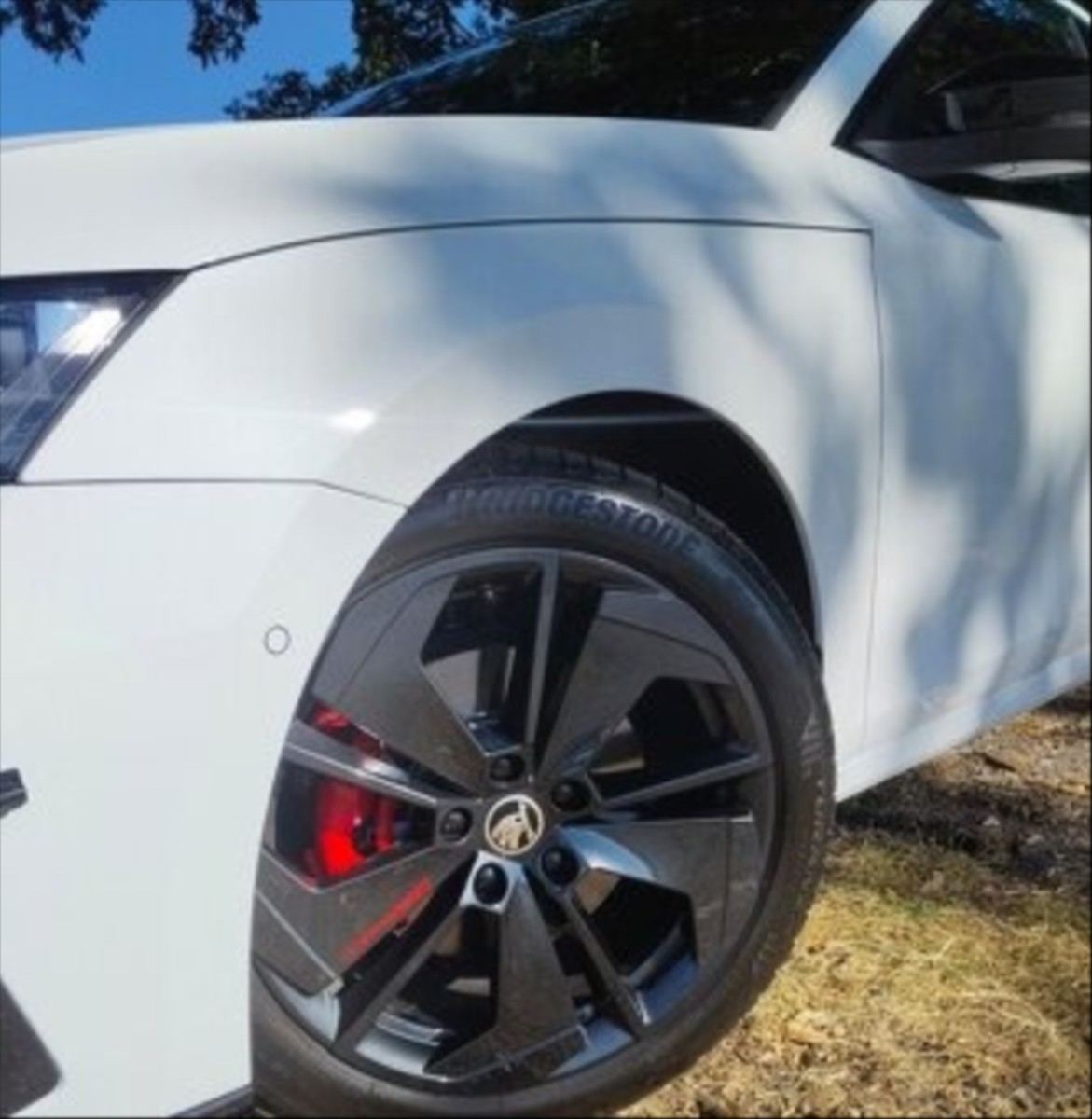 skoda-octavia-rs - 1